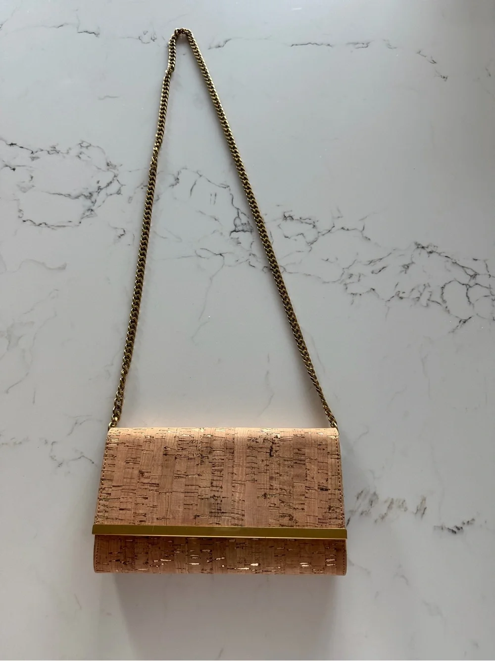 JCrew purse/clutch with gold chain